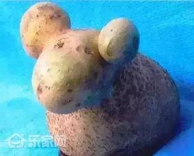 小羊新外观爆料视频,视频爆料带你领略全新风采  第1张